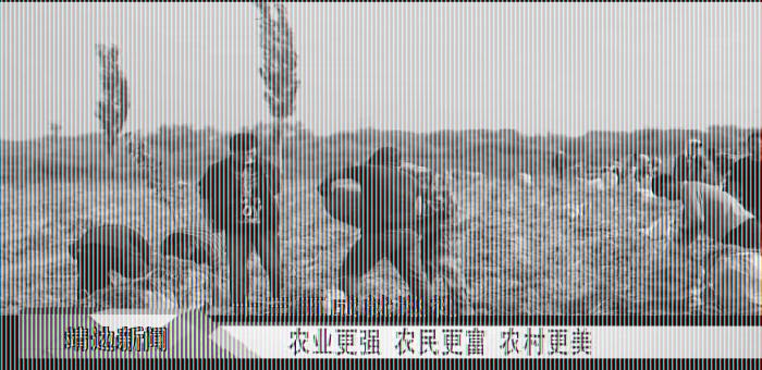 靖边新闻12月16日