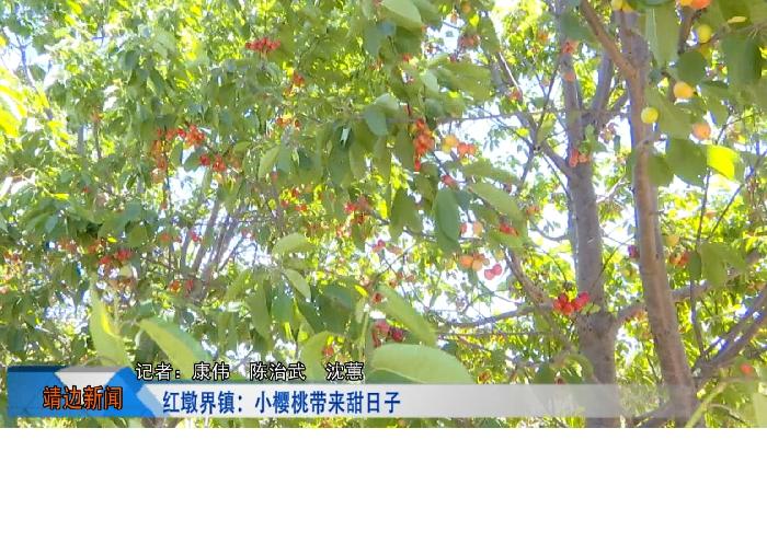 靖边新闻6月7日