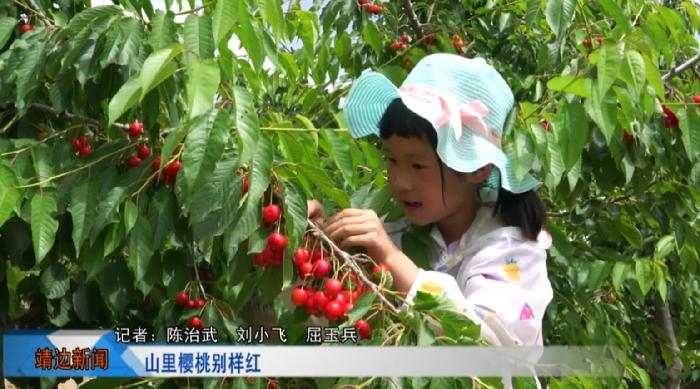 靖边新闻6月23日