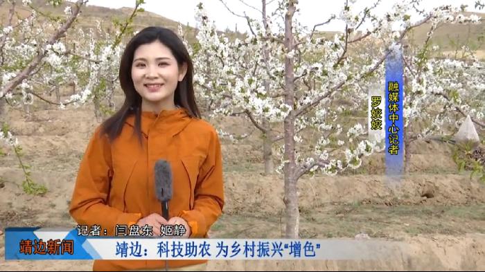靖边新闻2022年4月19日