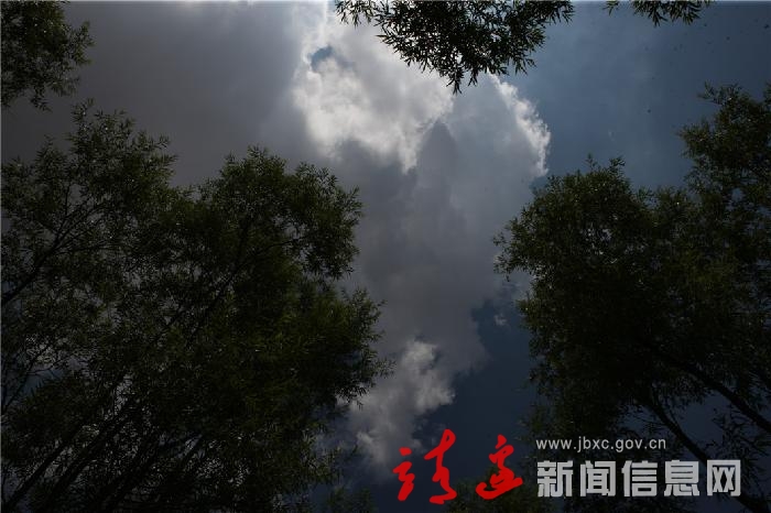 云林交汇
