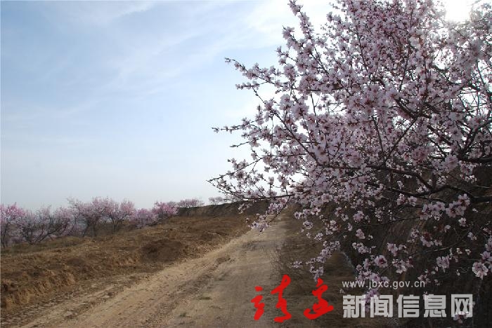 春到高原