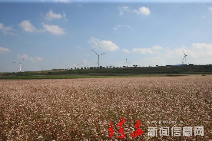靖边：追风逐日正当时