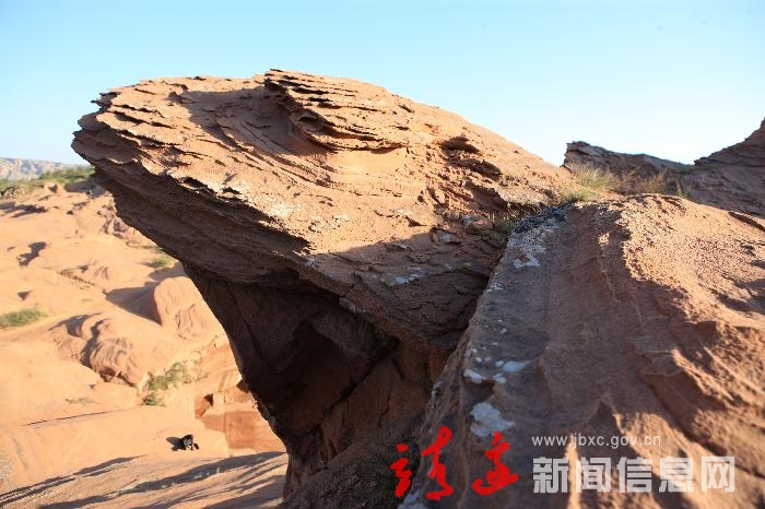 雄鹰远眺
