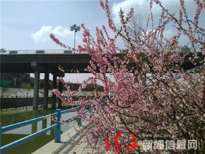 春日芦河