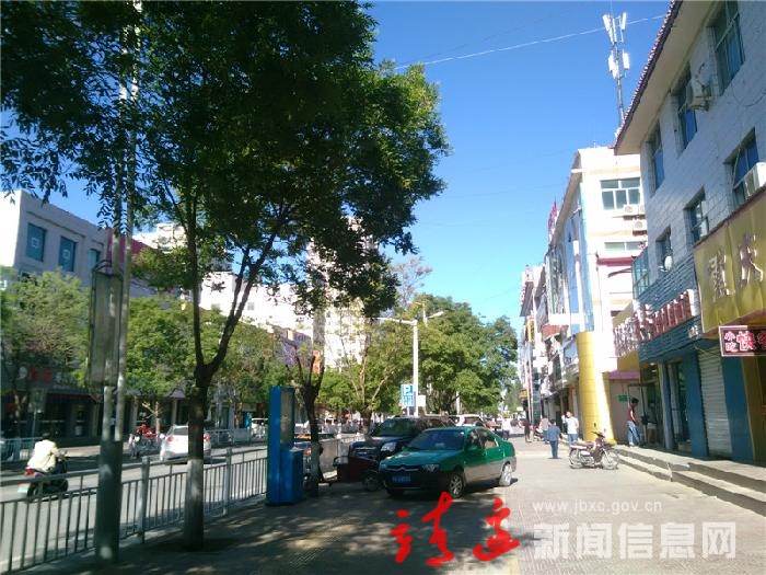 绿在城中