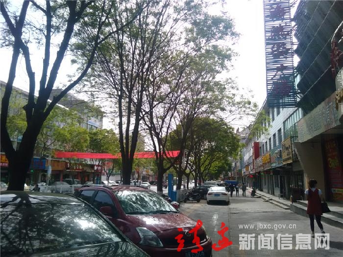 绿树掩映