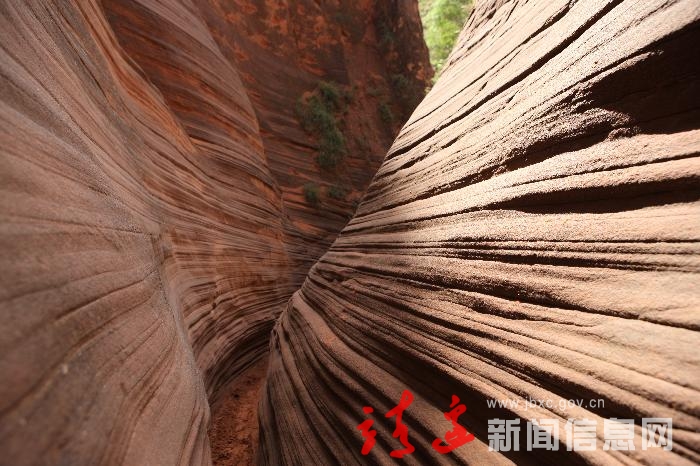 大美龙洲3