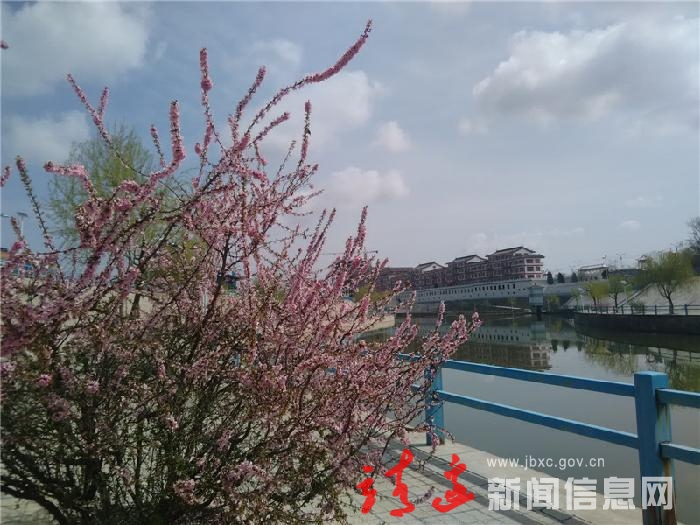 花映芦河