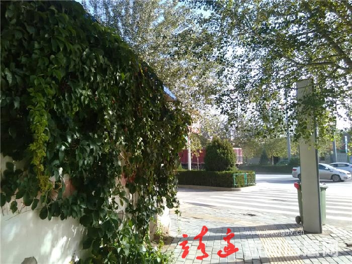 城在林中