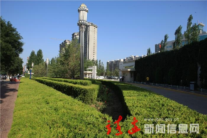 夏日绿荫