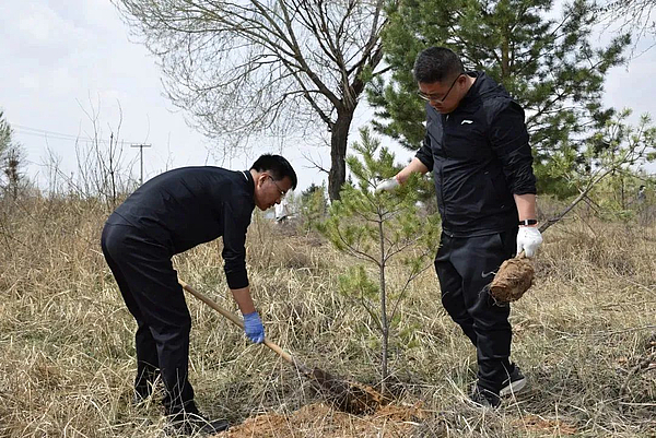 杨桥畔镇义务植树活动，美化镇域环境！