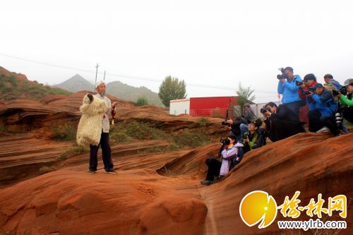 downLoad-20180503072222