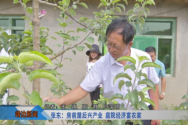 靖边新闻8月14日
