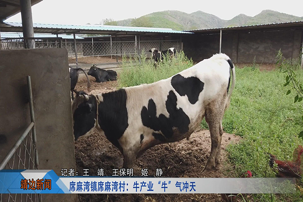 靖边新闻8月15日