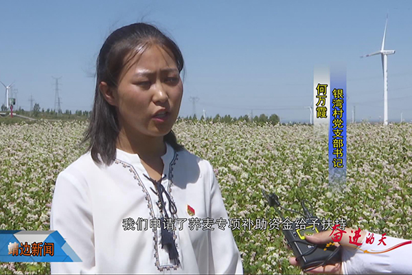 靖边新闻 8月26日