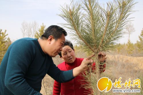 downLoad-20180321162032