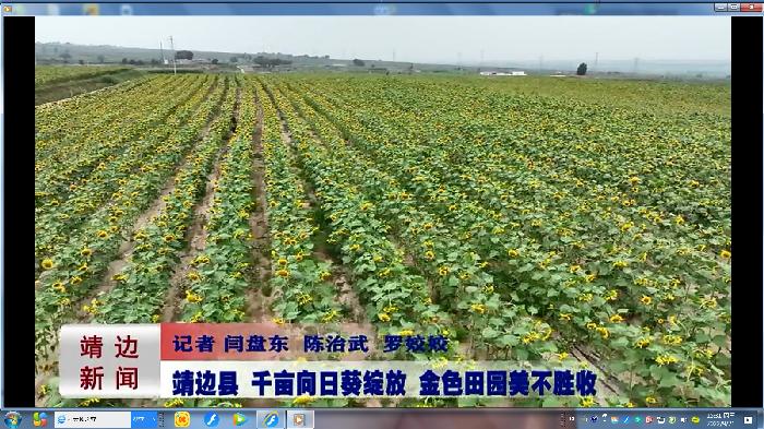 靖边新闻2022年9月14日