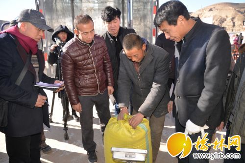 downLoad-20180410165539