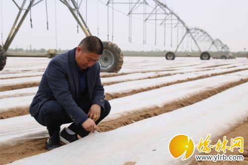 downLoad-20180523142945