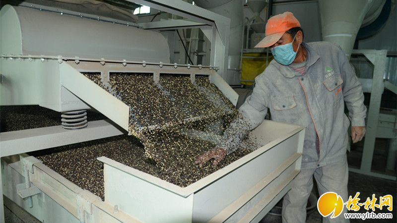 downLoad-20190119083858_副本