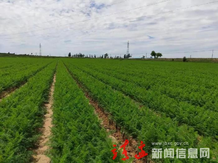 【奋进新征程 建功新时代•非凡十年】靖边：村集体经济助力乡村振兴“加速度”