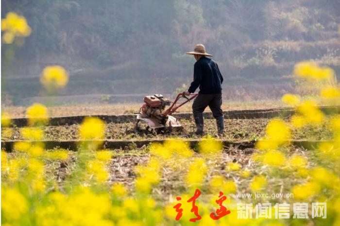 驻村“丰”景 | 靖边县驻村第一书记们给村里“种”下了什么