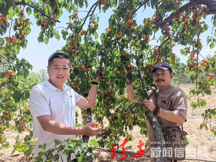 六月“金太阳”！靖边的限量限时拼手速水果来咯~～