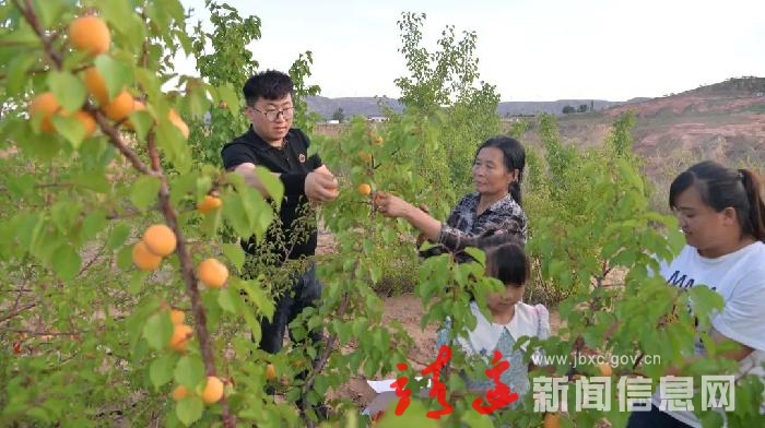 来靖边丹霞品山杏，赏美景！赶紧约起来……