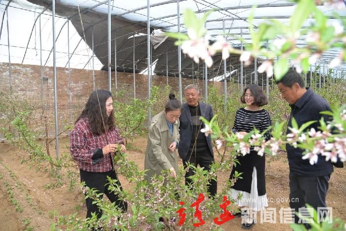 【春天里的靖边】桃花开了，果农笑了…