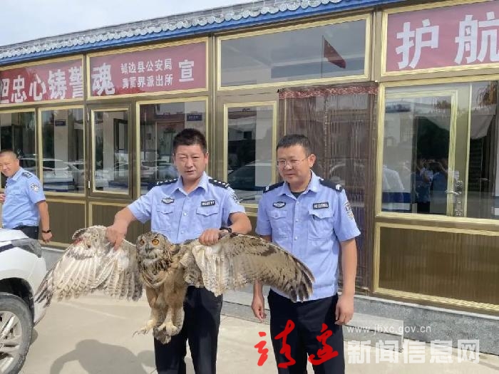 好样的！黄蒿界派出所救助一只国家二级保护动物