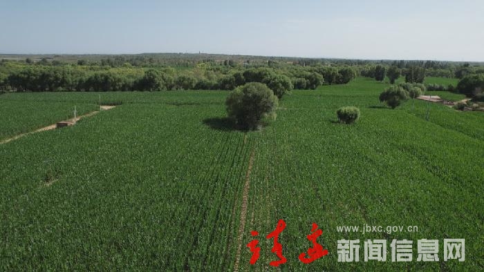 【奋进新征程 建功新时代】靖边：高质量推进乡村振兴！