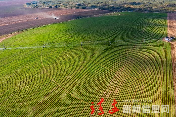【新时代 新使命 新伟业】 靖边县建成1038个家庭农场