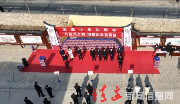 【新春走基层】“龙洲缘”助农走出致富路！