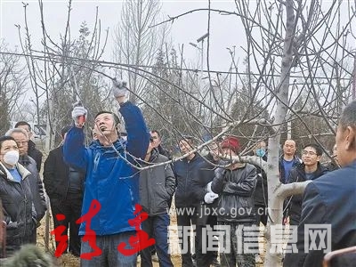 看！靖边县“农”墨重彩绘就春耕新图景