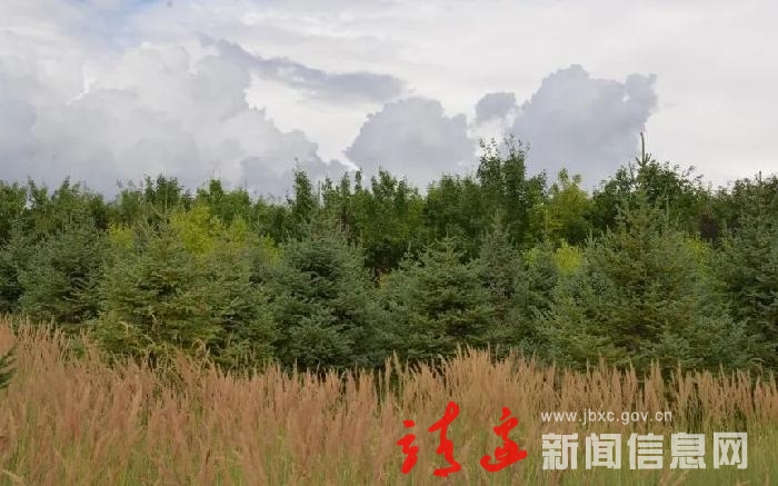 【清爽榆林 阜美靖边】镇靖镇：园林风景美出圈！