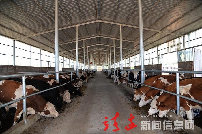 【走进乡村看振兴】靖边：“一镇一园”走出集体经济新路径