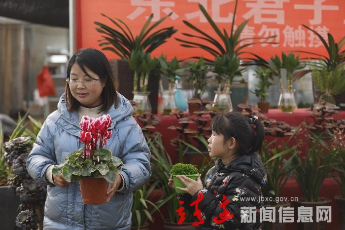花卉飘香俏争春