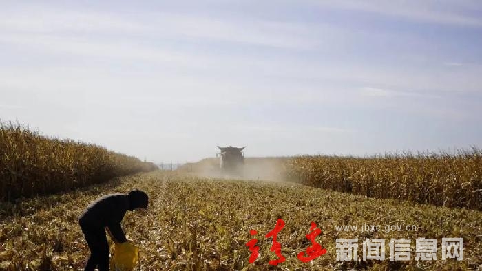 【走进乡村看振兴】靖边：全程机械化 让秋收跑出“加速度”