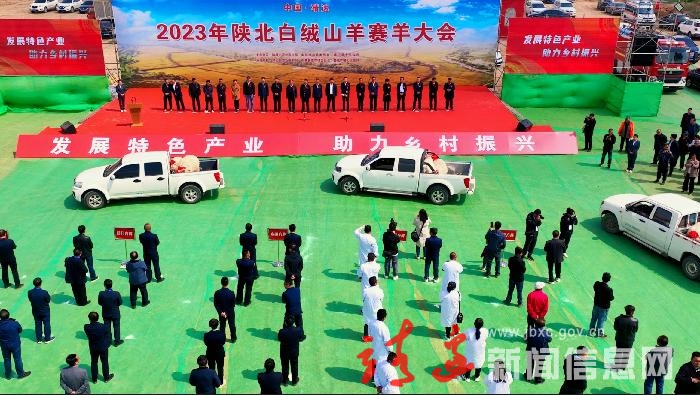 上百只萌羊争“状元”！靖边县赛羊大会开幕！
