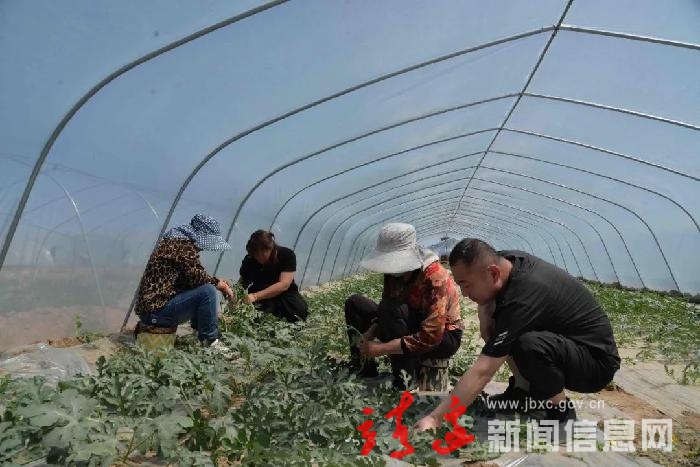 【干部作风能力在提升在行动】靖边：在优质服务中锤炼过硬作风