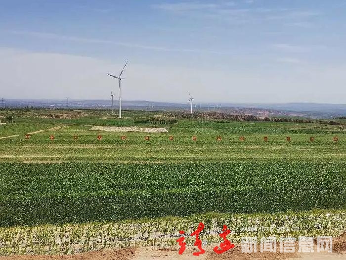 李世书调研重点项目 乡村振兴和防汛抗旱工作