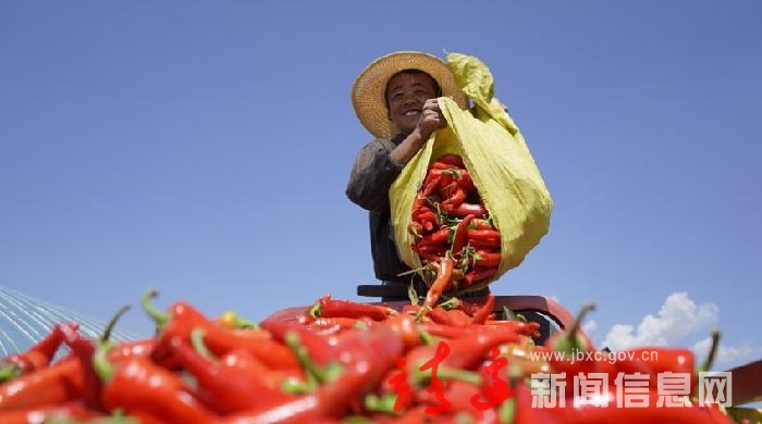 靖边：金秋“丰”景美如画…