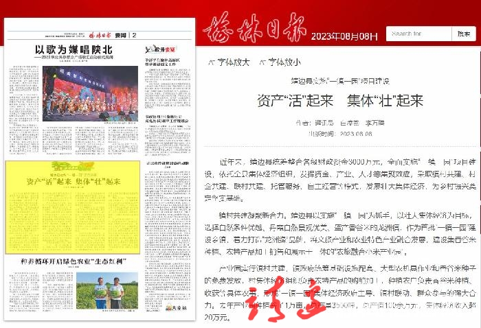 【走进乡村看振兴】靖边：资产“活”起来 集体“壮”起来
