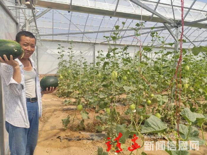 【走进乡村看振兴】杨桥畔镇：“幕田家宝”西瓜开园上市啦！