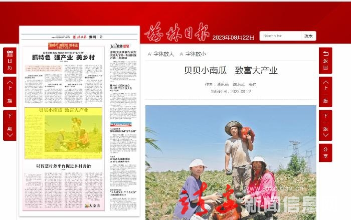 【走进乡村看振兴】靖边：贝贝南瓜丰收啦！