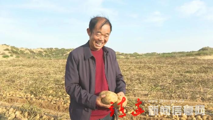【走进乡村看振兴】亩产达到1.6万斤！靖边刘三虎成了“土豆王”