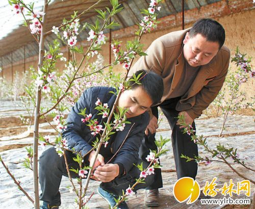 QQ截图20150307091636