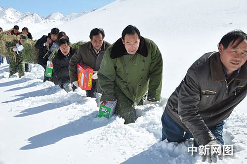 组图：甘肃玉门降雪受灾 官方“开路”运粮草