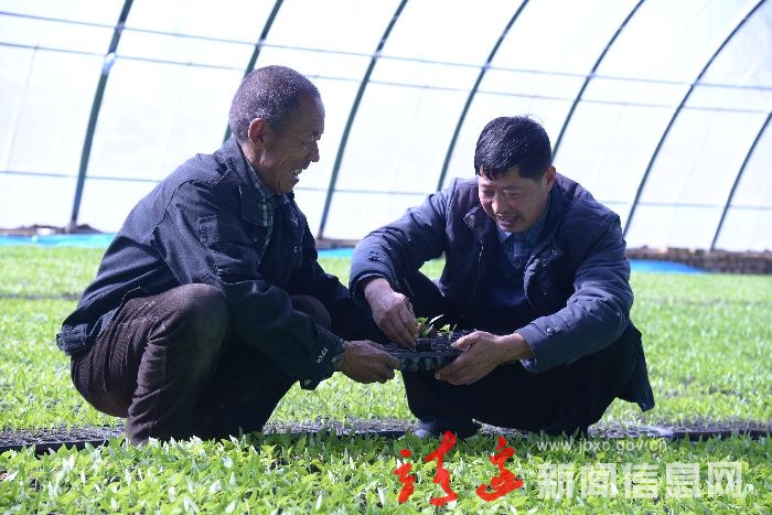 靖边：握好脱贫攻坚“接力棒” 按下乡村振兴“快进键”